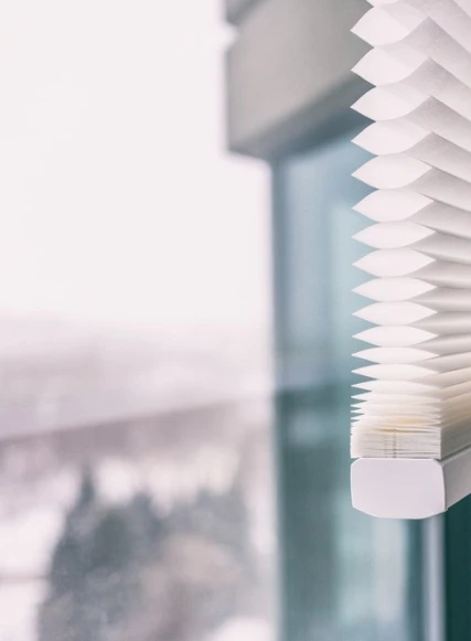 AdobeStock_246767624-1.jpeg